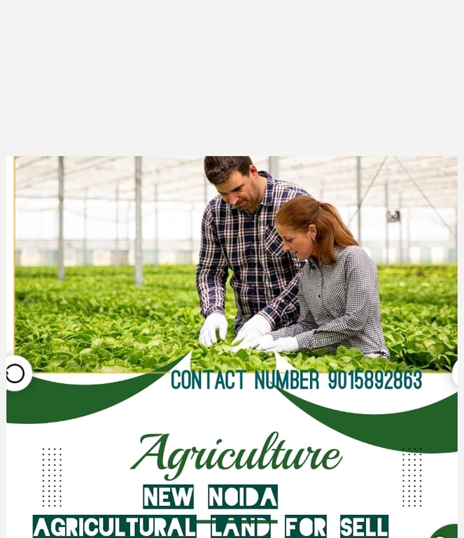 Cornar land thumbnail 3