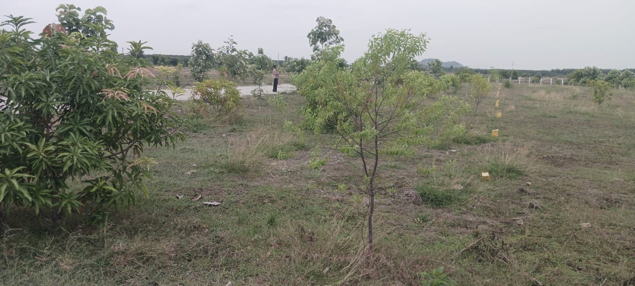 FARMLAND TYPE DTCP/RERA APPROVED RESIDENTIAL PLOT thumbnail 5