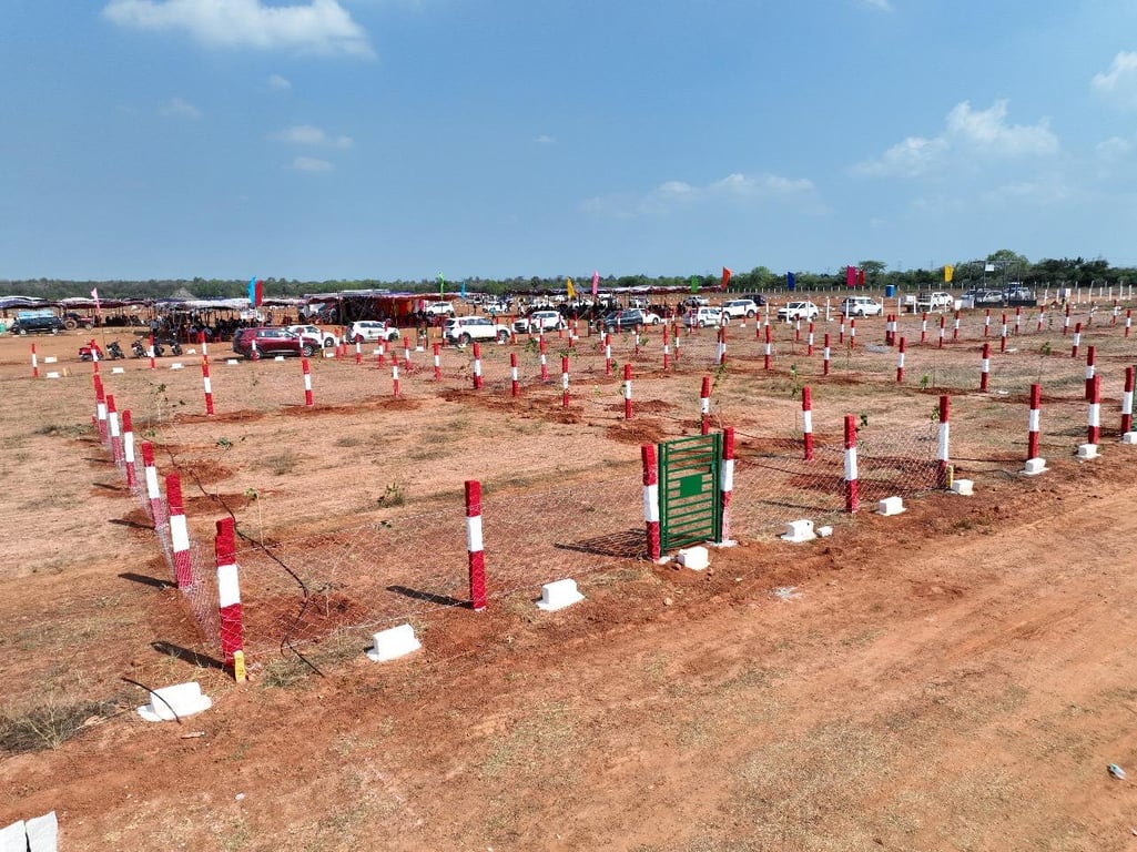 PARKTOWN-VENGAL thumbnail 3