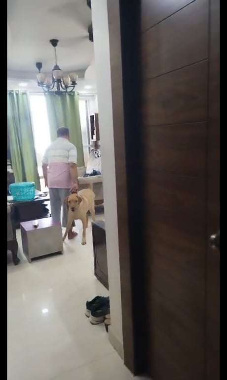 3 bhk 3 washroom thumbnail 13