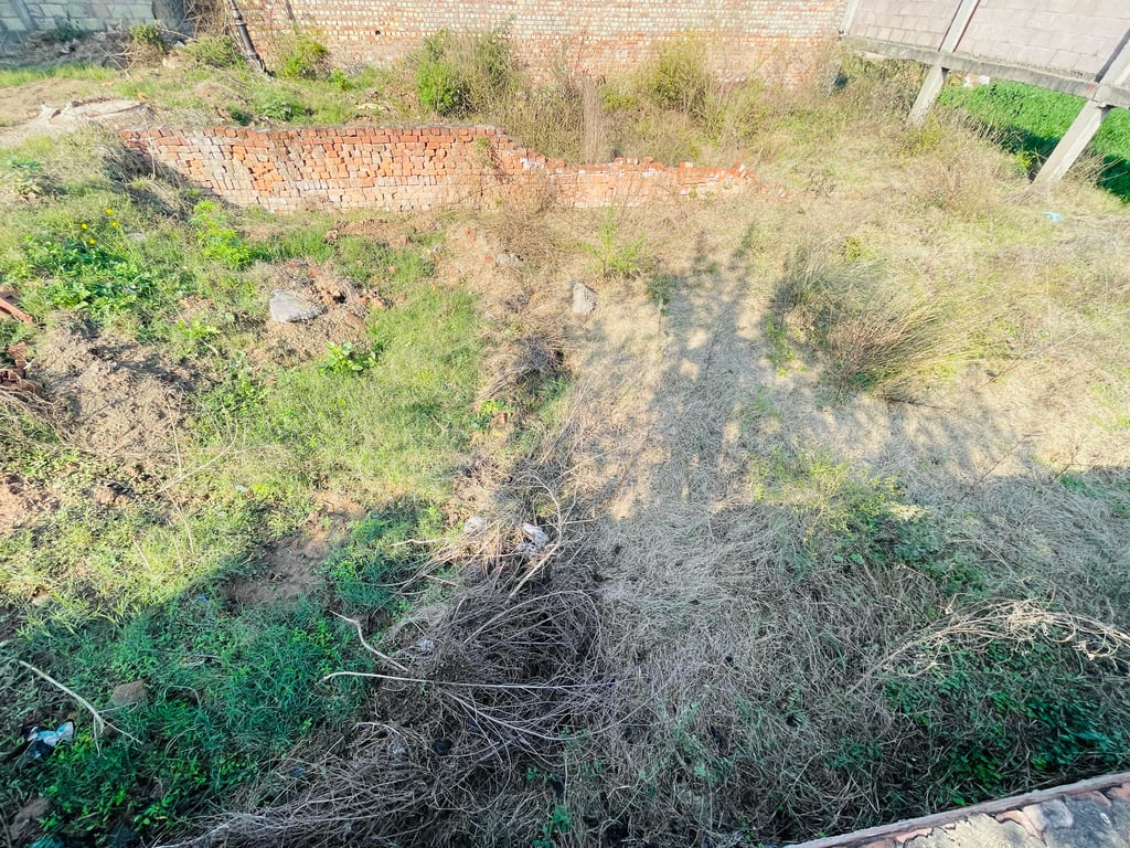 Commercial Shop plot in Chandigarh royal city thumbnail 5