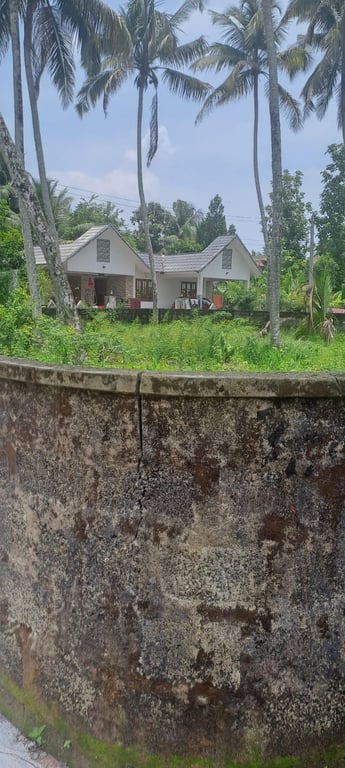 land fore sale in mulanthuruthy - 1