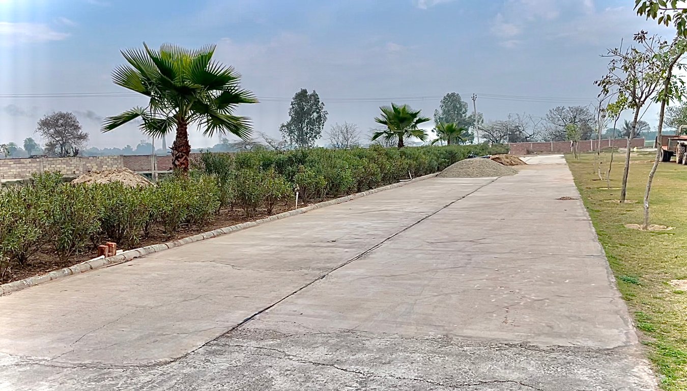 Commercial Shop plot in Chandigarh royal city thumbnail 2