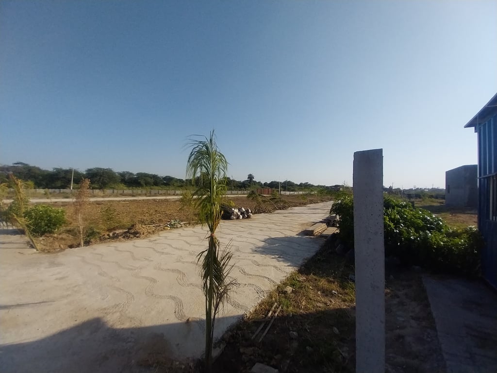 Terranova estate Farmland thumbnail 14