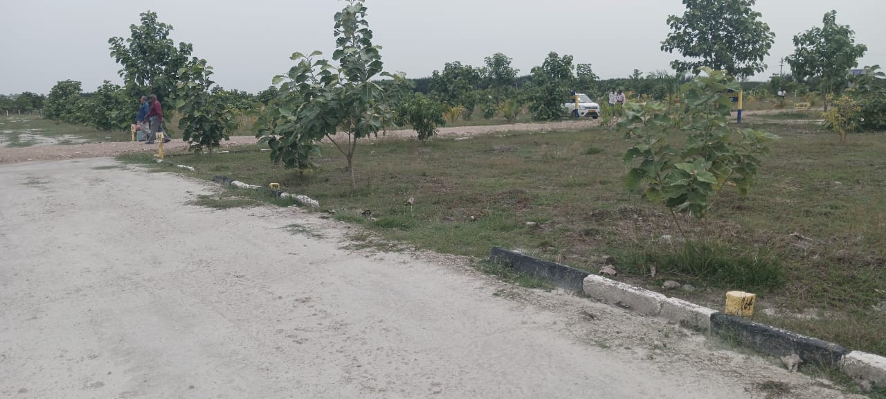 FARMLAND TYPE DTCP/RERA APPROVED RESIDENTIAL PLOT thumbnail 6