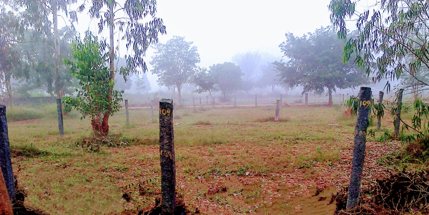 Plot for sale in Devanahalli Bangalore thumbnail 4