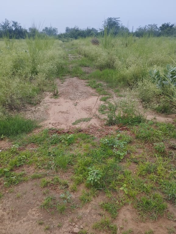 Plot 50 guj near tronica City industrial area Ghaziabad price 8 lac only thumbnail 19