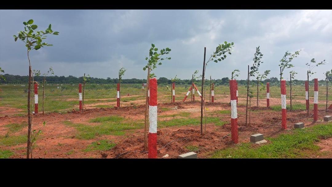 PARKTOWN-VENGAL thumbnail 2