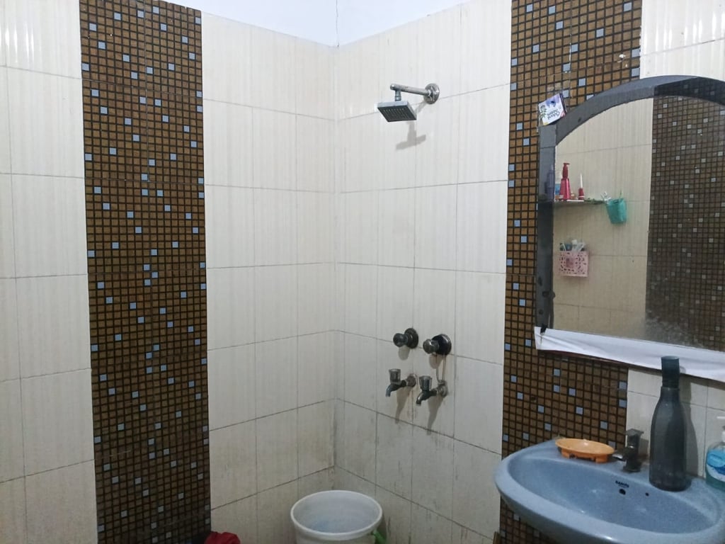 Plot for sale in Gopi Colony Old Faridabad thumbnail 3