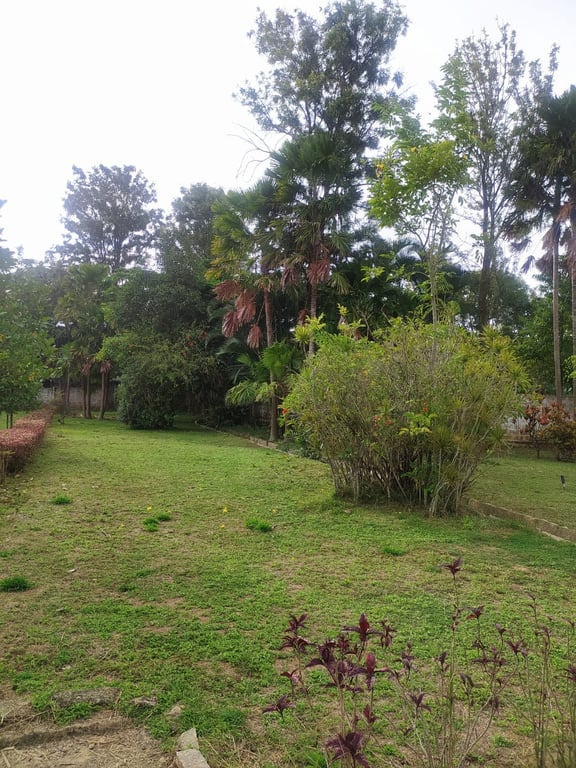 Residential Building for Sale – 8 Units, East-Facing, North Roadside, Bengaluru thumbnail 5