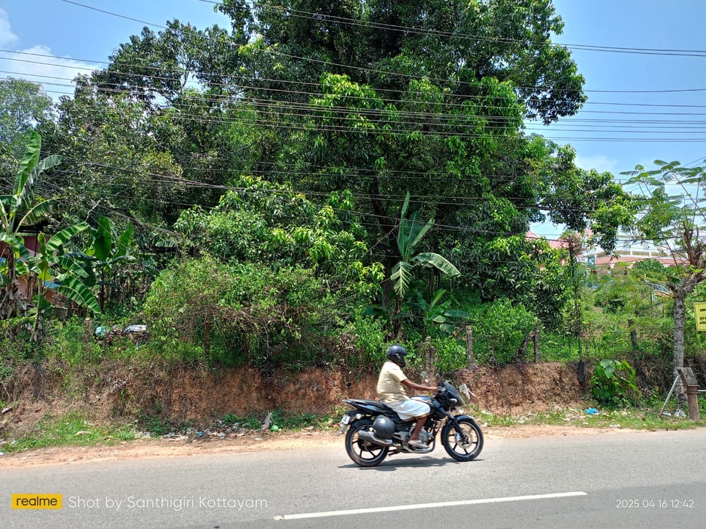 10 cent land infront of Kottarakkara Odanavattom main road frontage thumbnail 5