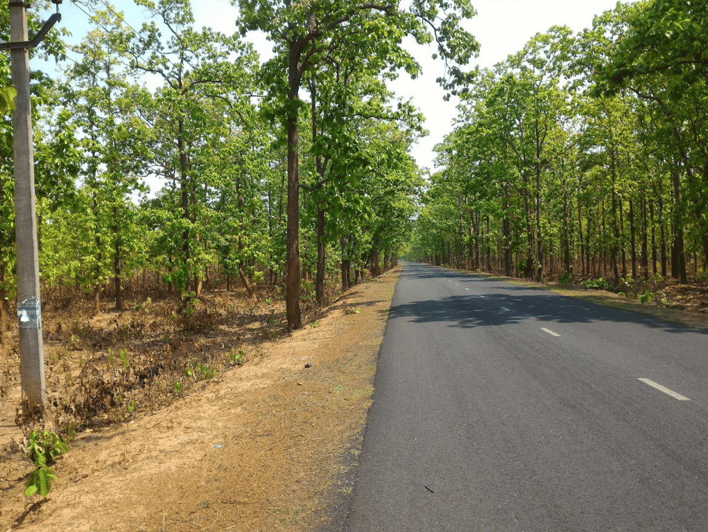On highway land in Jhargram - 1