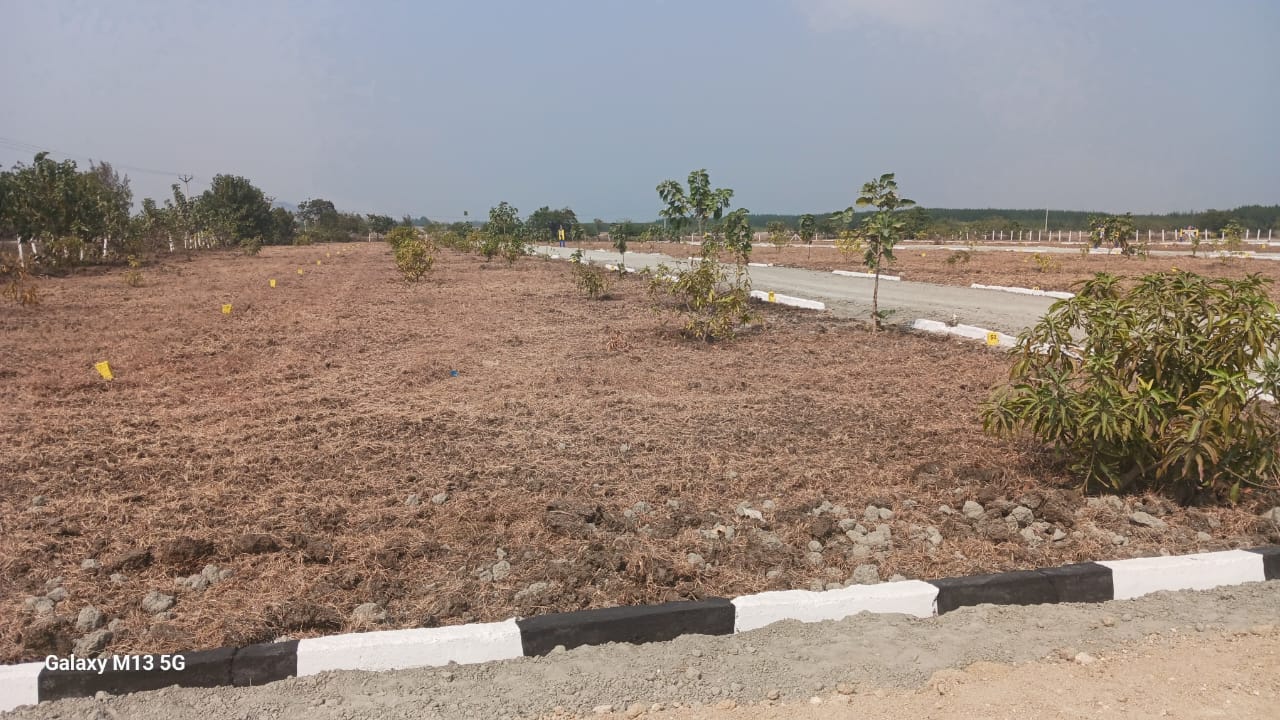 FARMLAND TYPE DTCP/RERA APPROVED RESIDENTIAL PLOT thumbnail 9