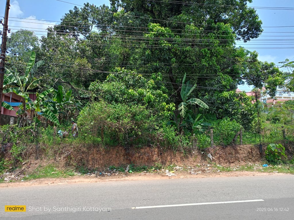 10 cent land infront of Kottarakkara Odanavattom main road frontage thumbnail 12
