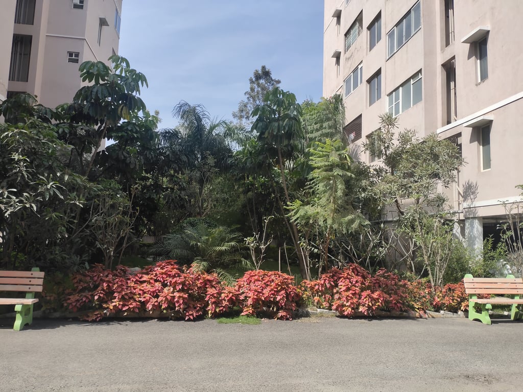 Specious 1 bhk flat at Singasandra, South Banglore thumbnail 15