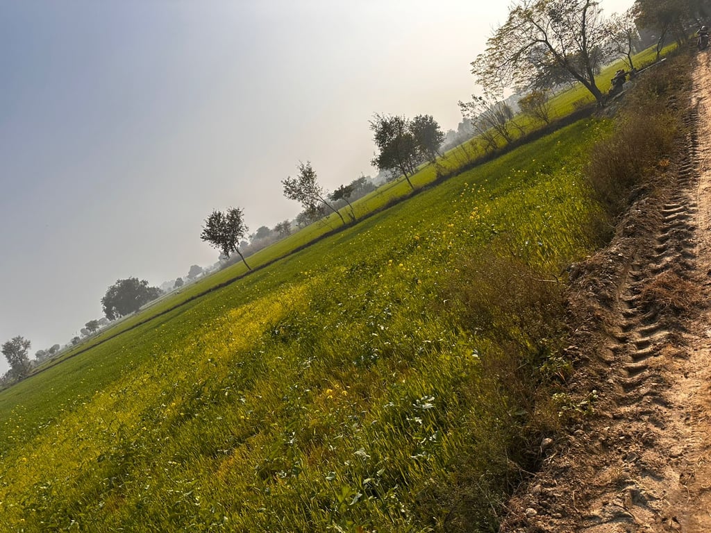 Cornar land thumbnail 7