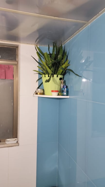 2BHK Furnished Apartment for Sale – Galassia by Dimple Group, Mumbai thumbnail 3