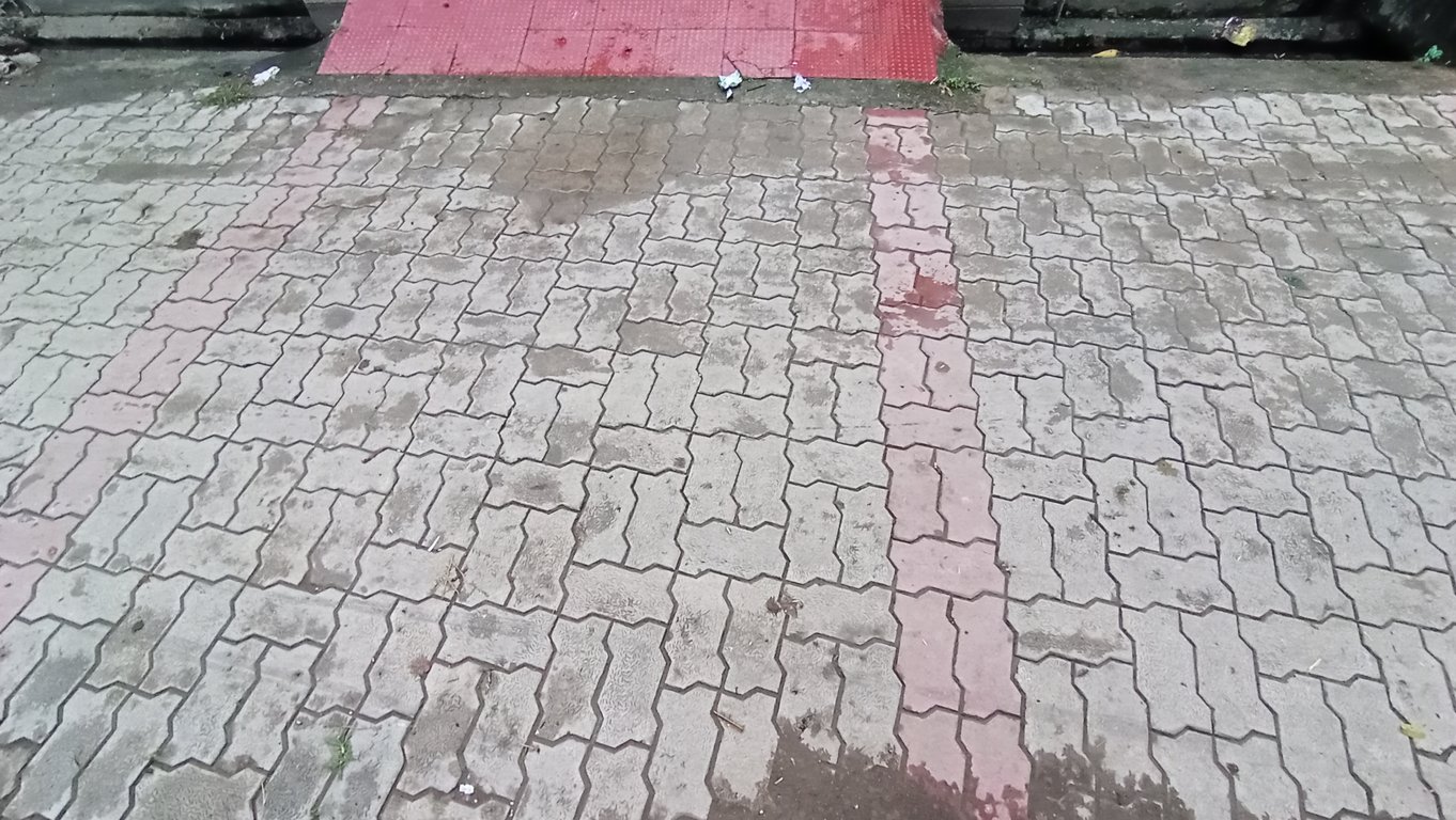 3 BHK (5 Marla) Independent House For Sale thumbnail 5