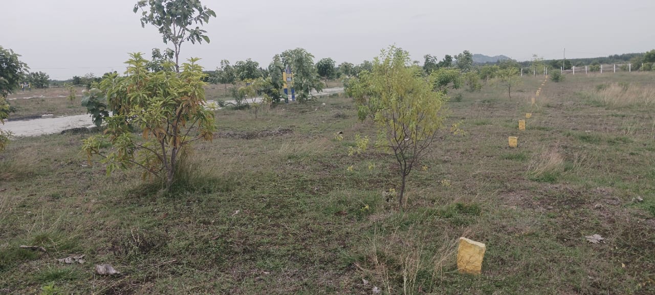 INVEST IN RAPIDLY APPRECIATING VILLA PLOT MADURANTHAGAM thumbnail 1