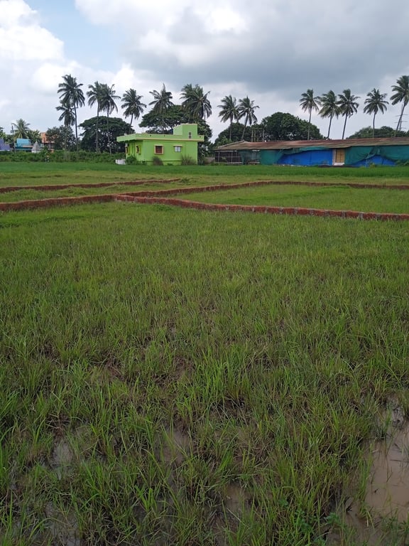 Plot for sale in Bhubaneswar thumbnail 1