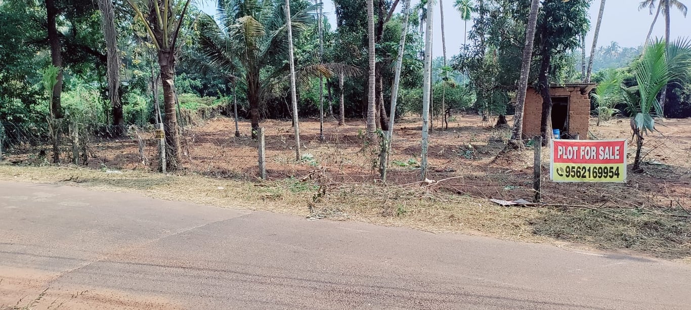 Residential Land for Sale – 36 Cents Near Thrissur Town, Kerala thumbnail 3