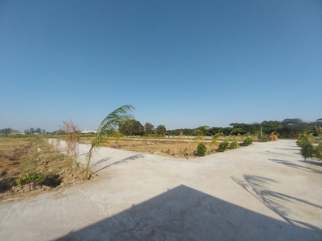 Terranova estate Farmland thumbnail 11