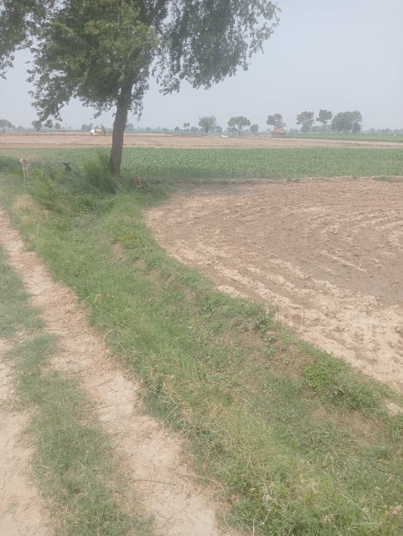 Cornar land thumbnail 5