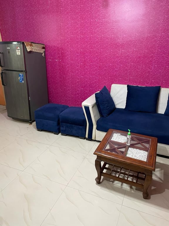 2BHK fully furnished flat thumbnail 1