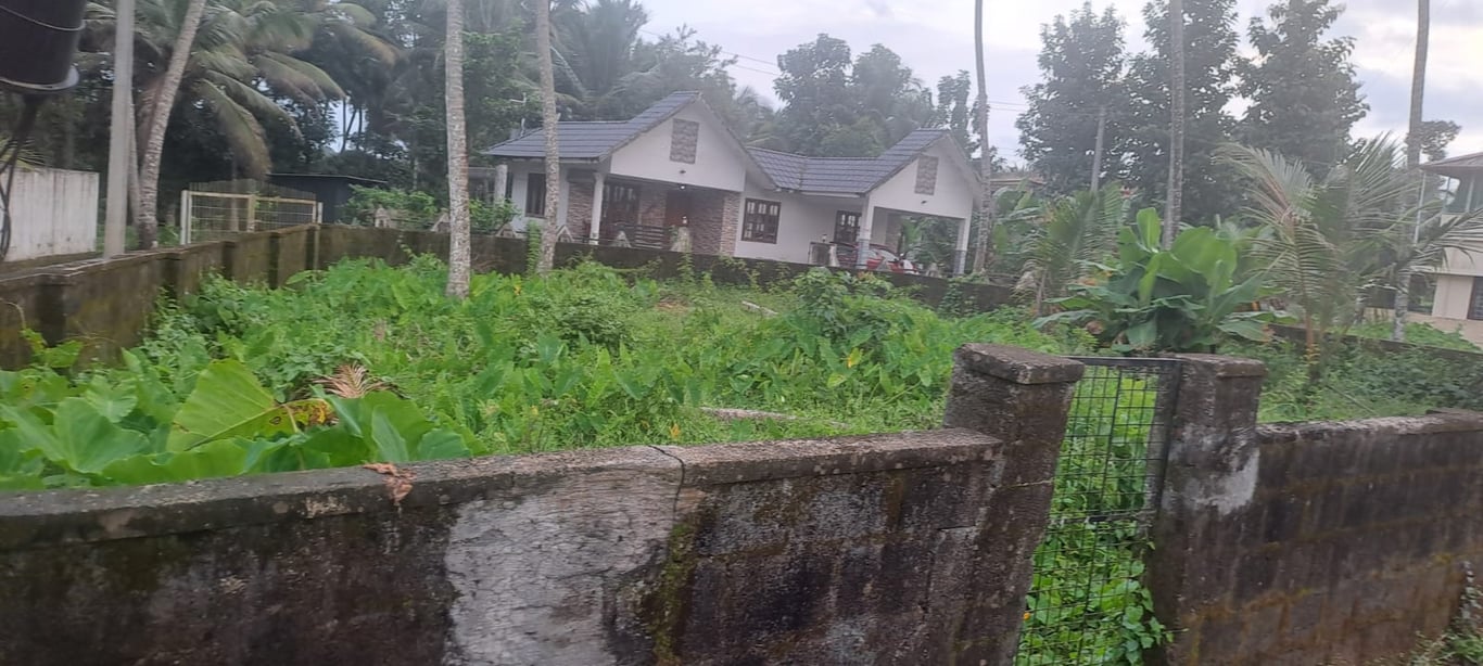 land fore sale in mulanthuruthy thumbnail 3