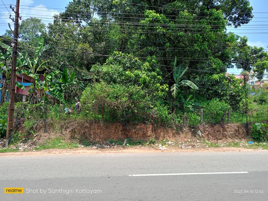 10 cent land infront of Kottarakkara Odanavattom main road frontage thumbnail 6