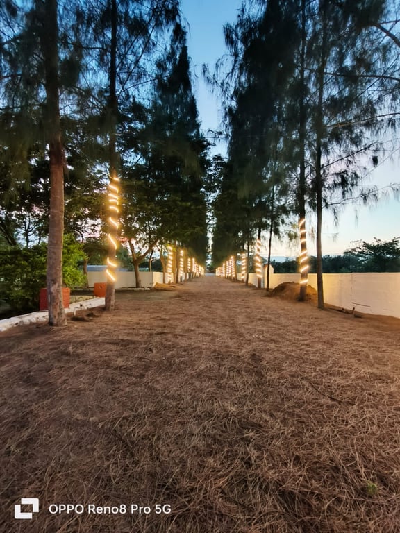 King Size Farm Plots - DTCP Approved thumbnail 9