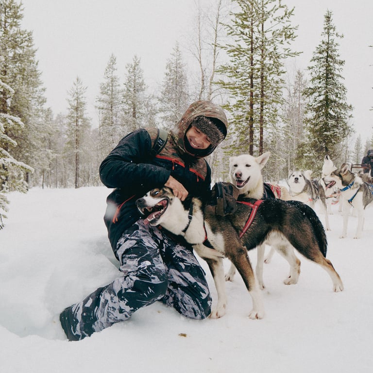 Ambassador hero media