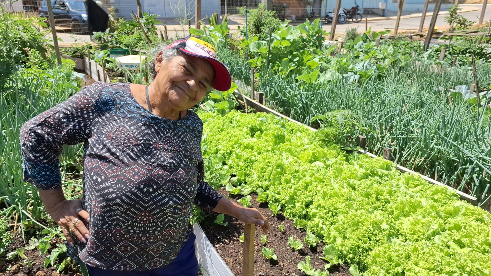 Hilária Wandscheer and her garden. Photo by Felipe Sabrina / Intercept Brasil