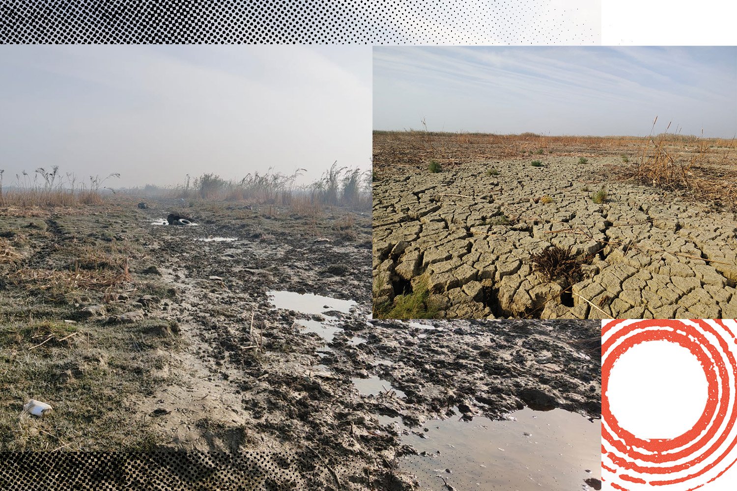 The Umm al‑Naa’j pond in theHawr al‑Huweizah wetlands, a UNESCO World Heritage site in Iraq. Reeds have dried up and water has all but vanished. Dried mud stretches across the landscape where wetlands used to be. Illustration by Simon Toupet / Mediapart with photos by Haydar al-Saadi / Daraj, Al-aalem Al-jadeed.