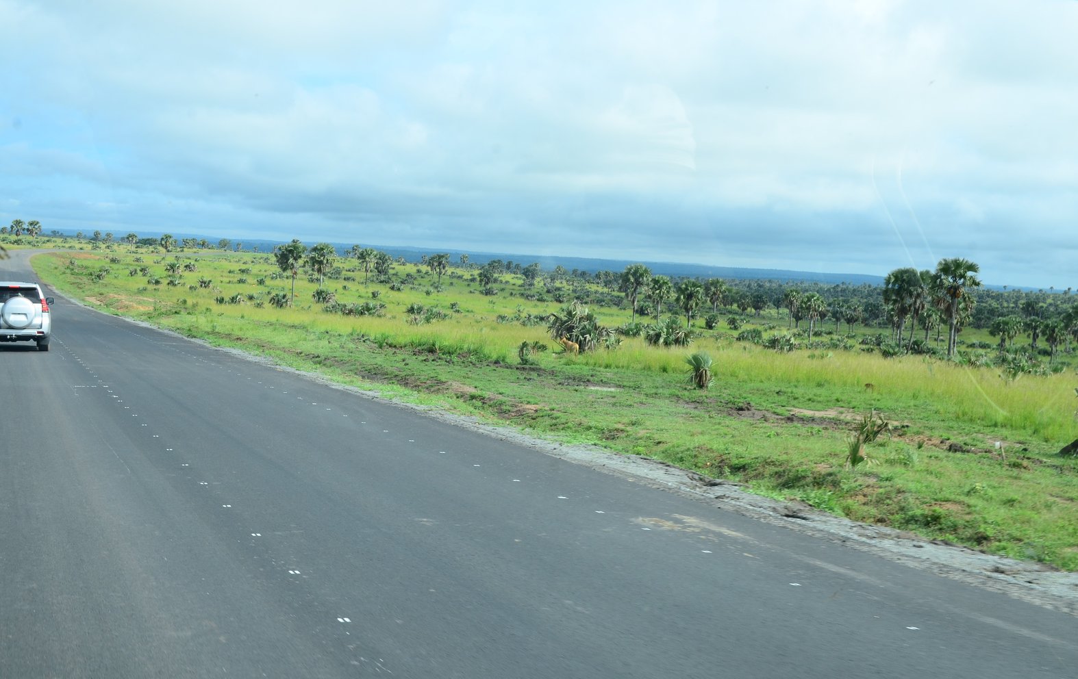 Oil roads built to support oil exploration and production activities inside Murchison Falls National Park. Photo by Diana Taremwa Karakire.