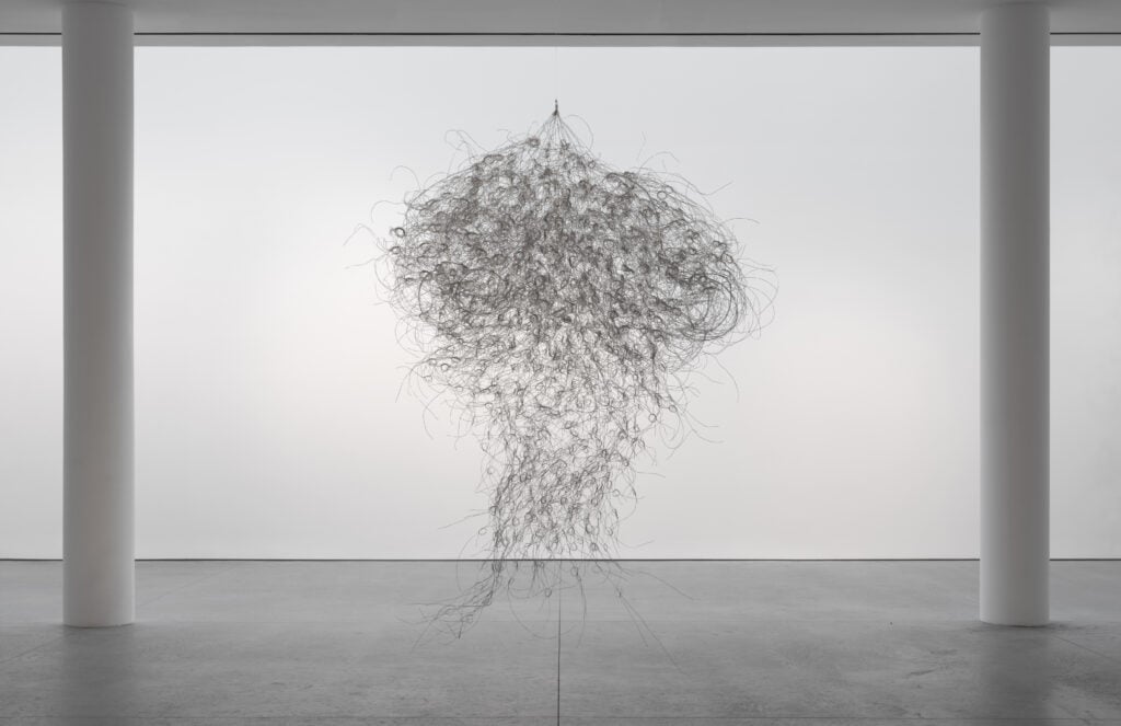 Alan Saret’s “Galacticonexus”