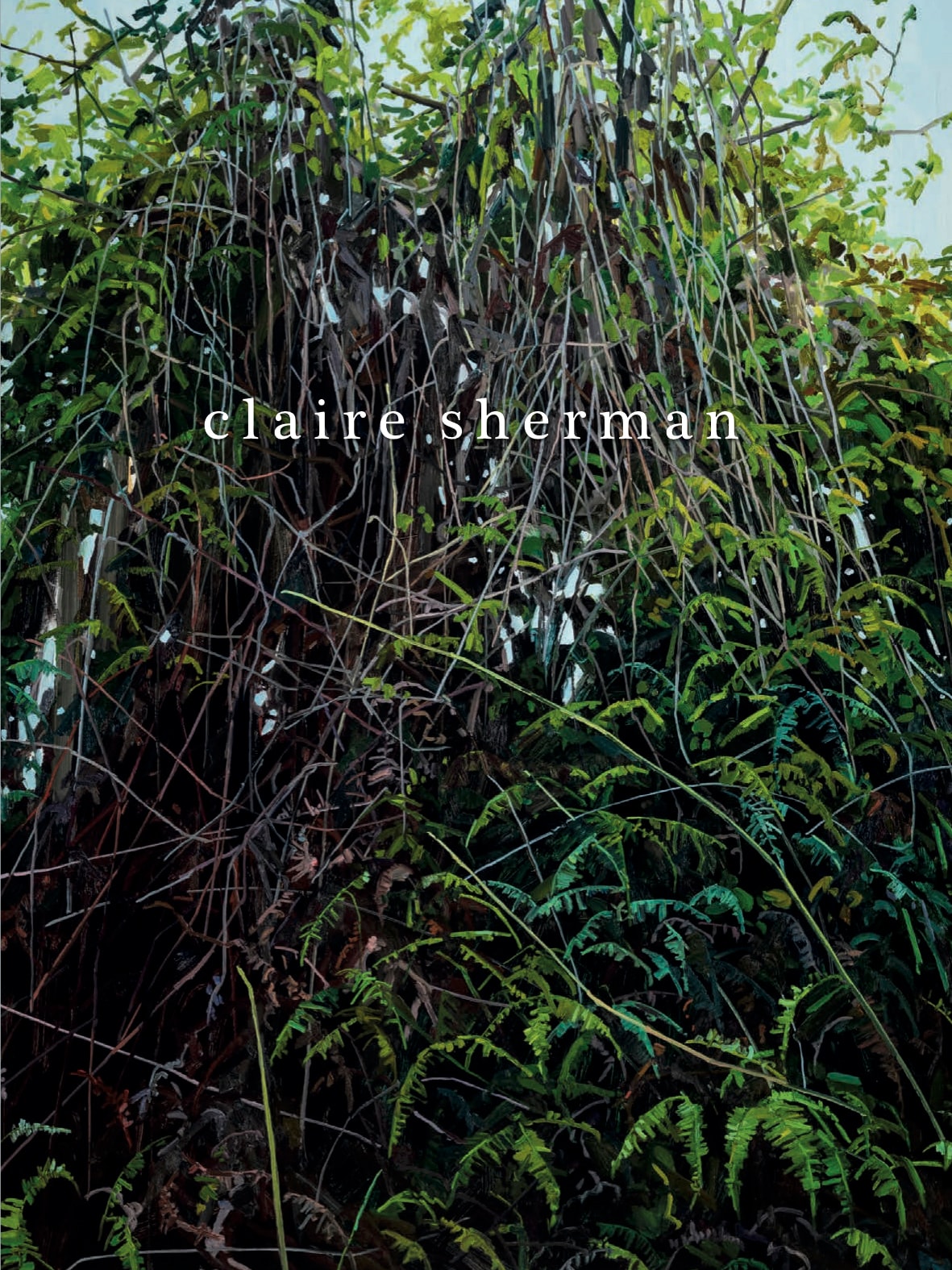 Claire Sherman: New Pangea