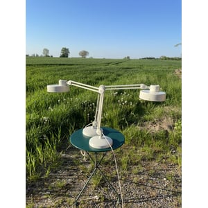 2 stk. Luxo arkitekt bordlamper med drejelig lampehoved og tung lampebase - nr. 09095