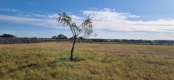 Terreno — foto 4