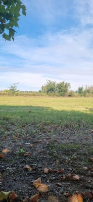 Terreno — foto 5