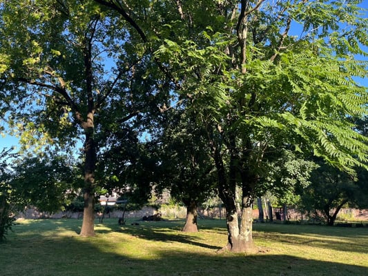 VENTA LOTE  VILLA ROSA PILAR — foto 4