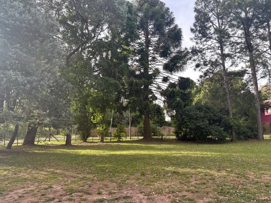 Terreno — foto 7