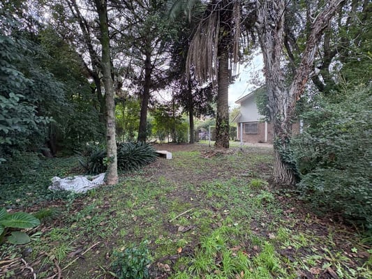 Terreno — foto 5