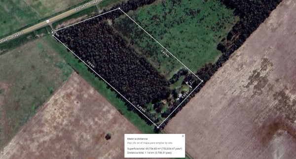 Campo — foto 2