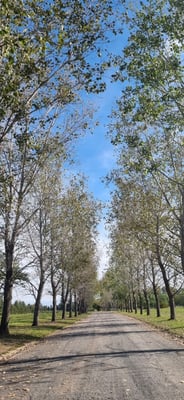 Terreno — foto 8