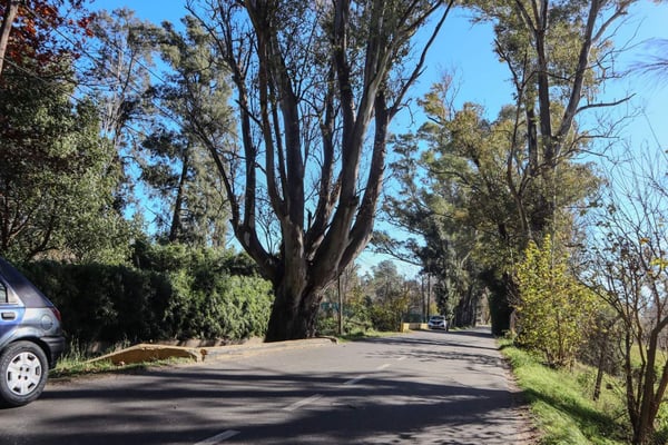 Terreno — foto 6