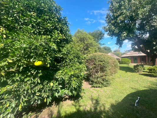 Casa — foto 6