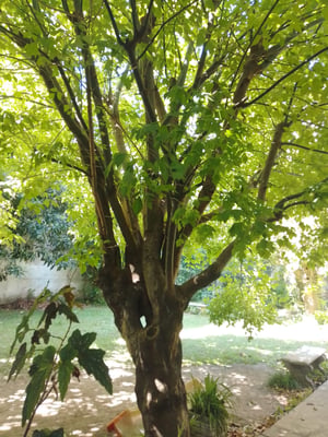 Departamento — foto 5