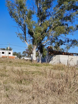 Terreno En Venta En Campana Barrio Puerta Del Sol — foto 5
