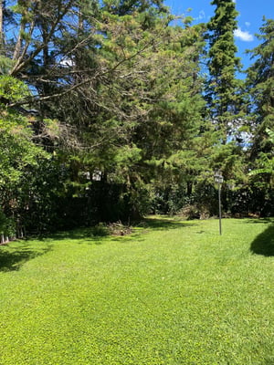 Terreno — foto 1